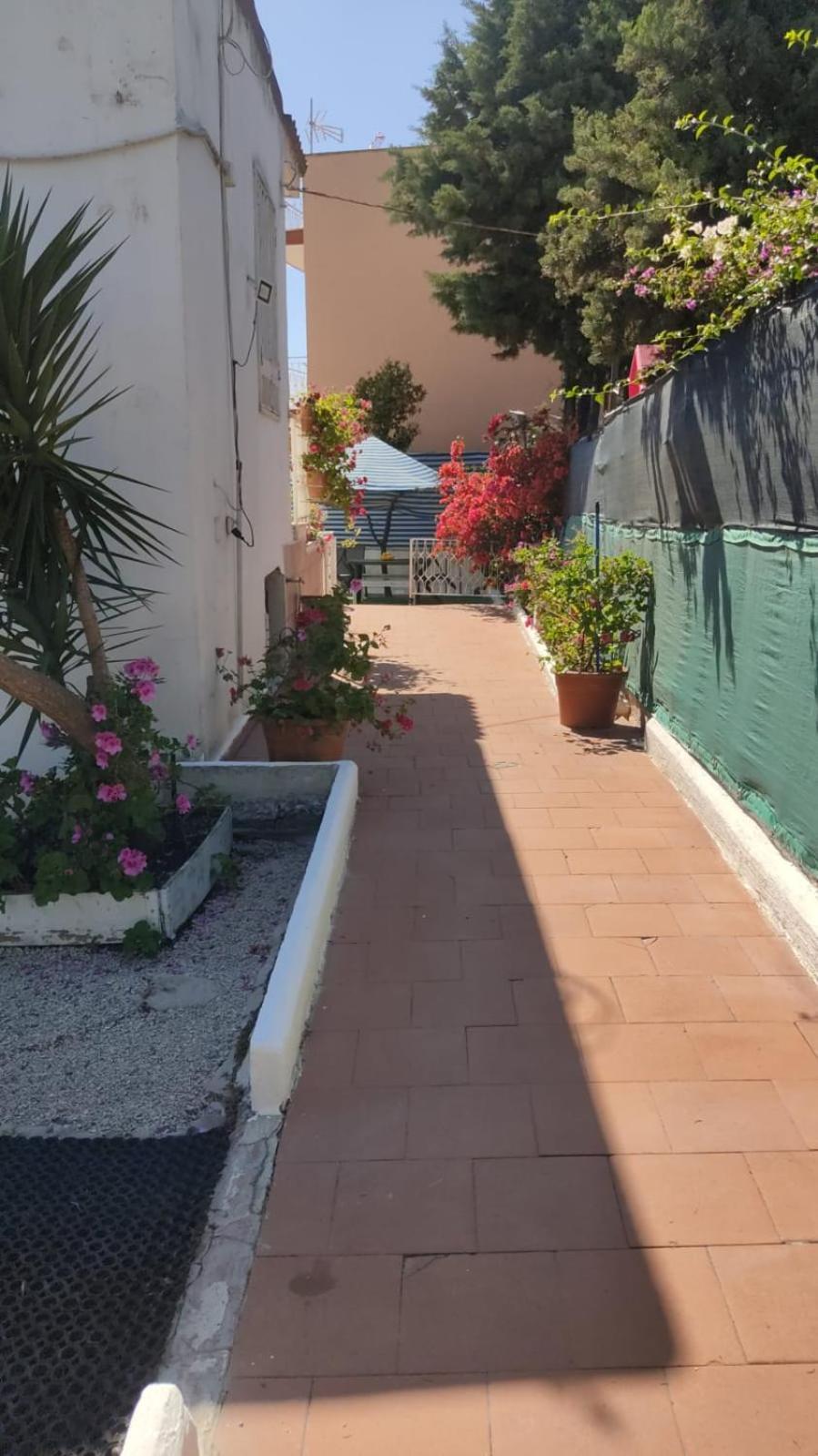 Garden Green Da Virna Torre Annunziata Exterior photo
