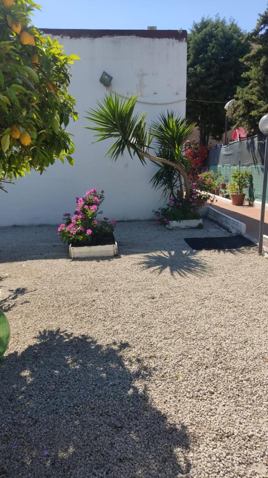 Garden Green Da Virna Torre Annunziata Exterior photo