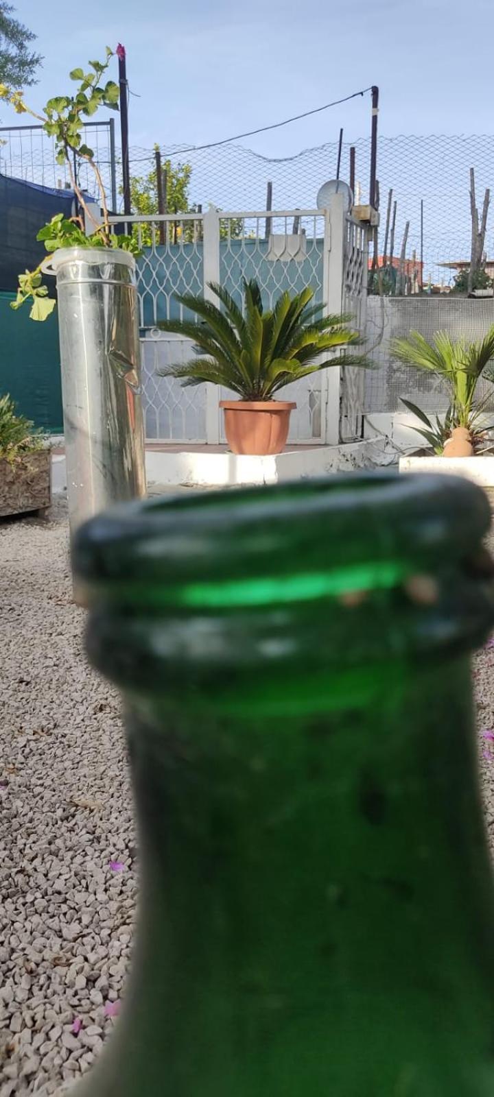 Garden Green Da Virna Torre Annunziata Exterior photo