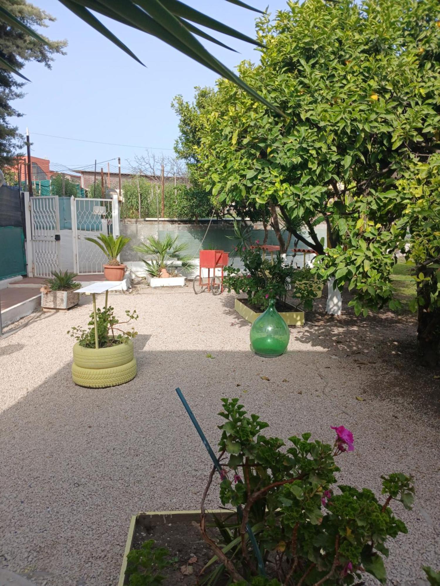 Garden Green Da Virna Torre Annunziata Exterior photo